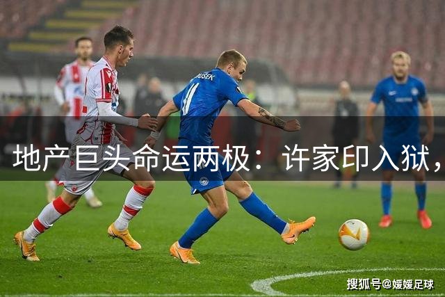 地产巨头命运两极：许家印入狱，王健林处境堪忧